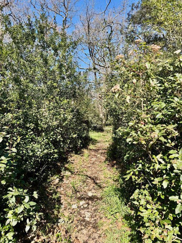 Maison à AUBUSSARGUES