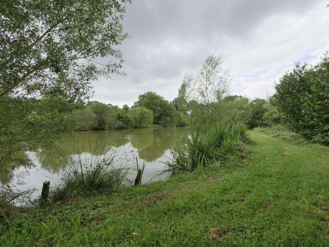 Terrain 5 062 m² à vendre à Saint-Aubin-D'aubigne (35250) - photo 3