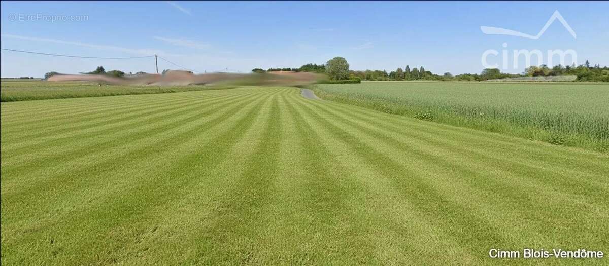 Terrain à CHAMPIGNY-EN-BEAUCE