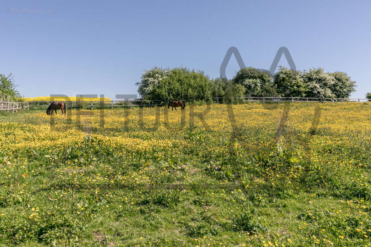 Maison à CHATEAU-THIERRY