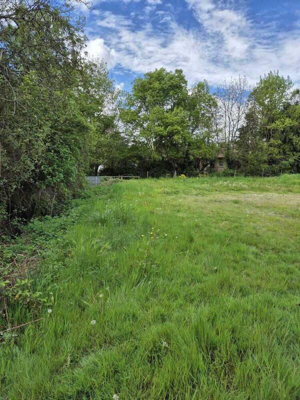 Terrain à RUELLE-SUR-TOUVRE