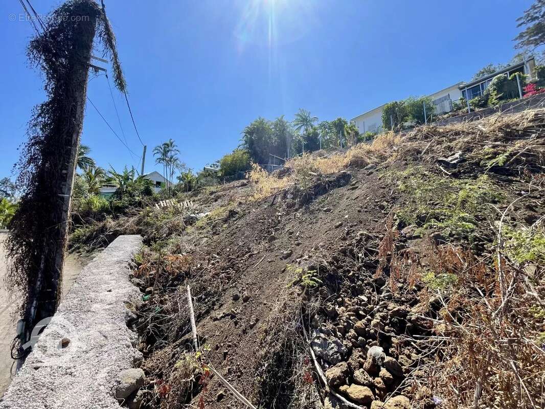 Terrain à SAINT-LEU
