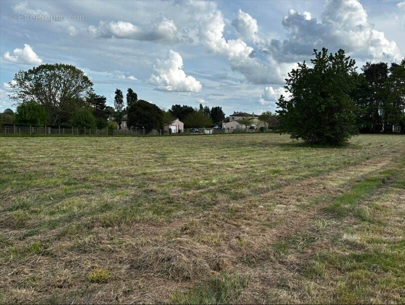 Terrain à SAINT-SAUVEUR
