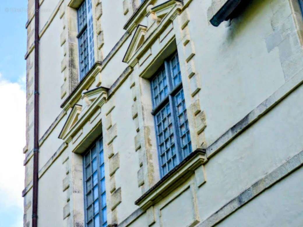 Château féodal au coeur des Landes sur 3,5 hectares - photo 6