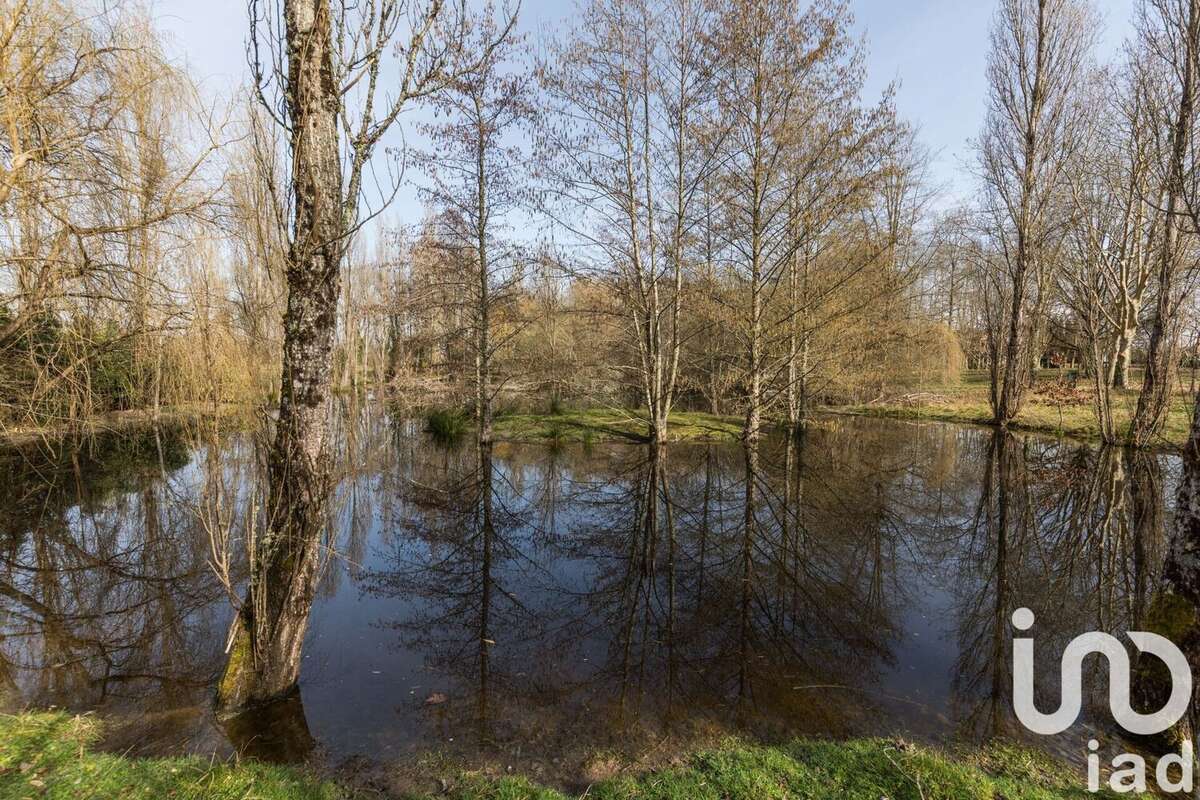 Photo 4 - Maison à MONT-DE-MARSAN