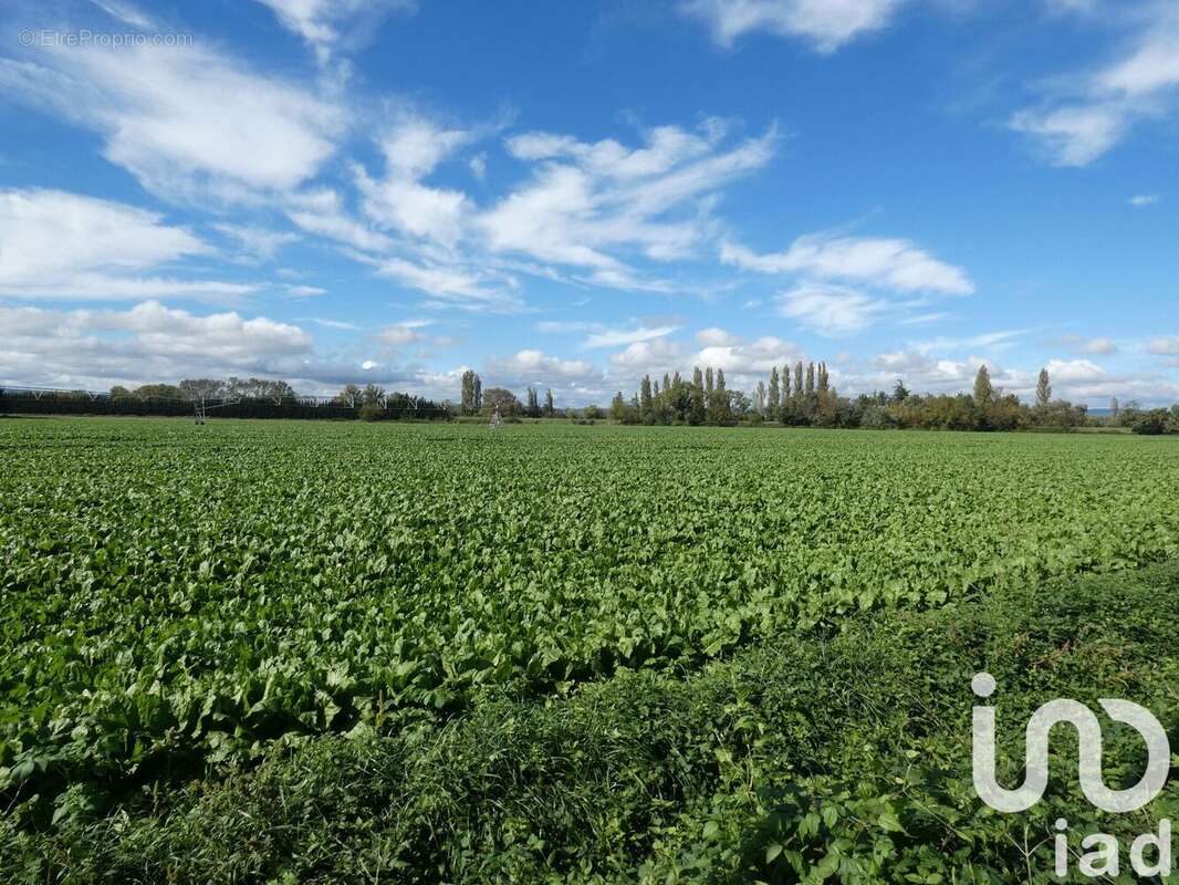 Photo 3 - Maison à BOLLENE