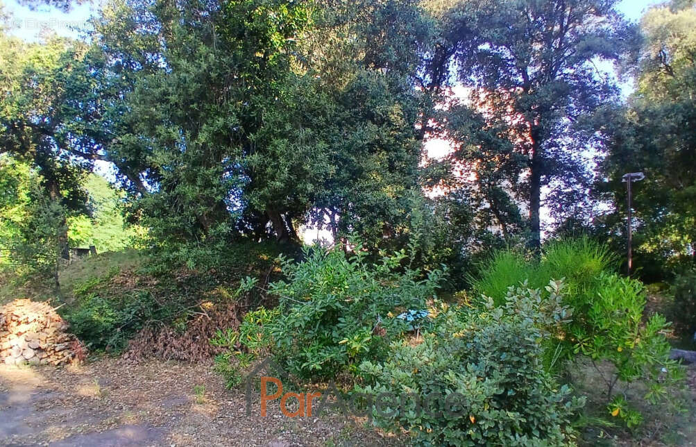 Terrain à VAUX-SUR-MER