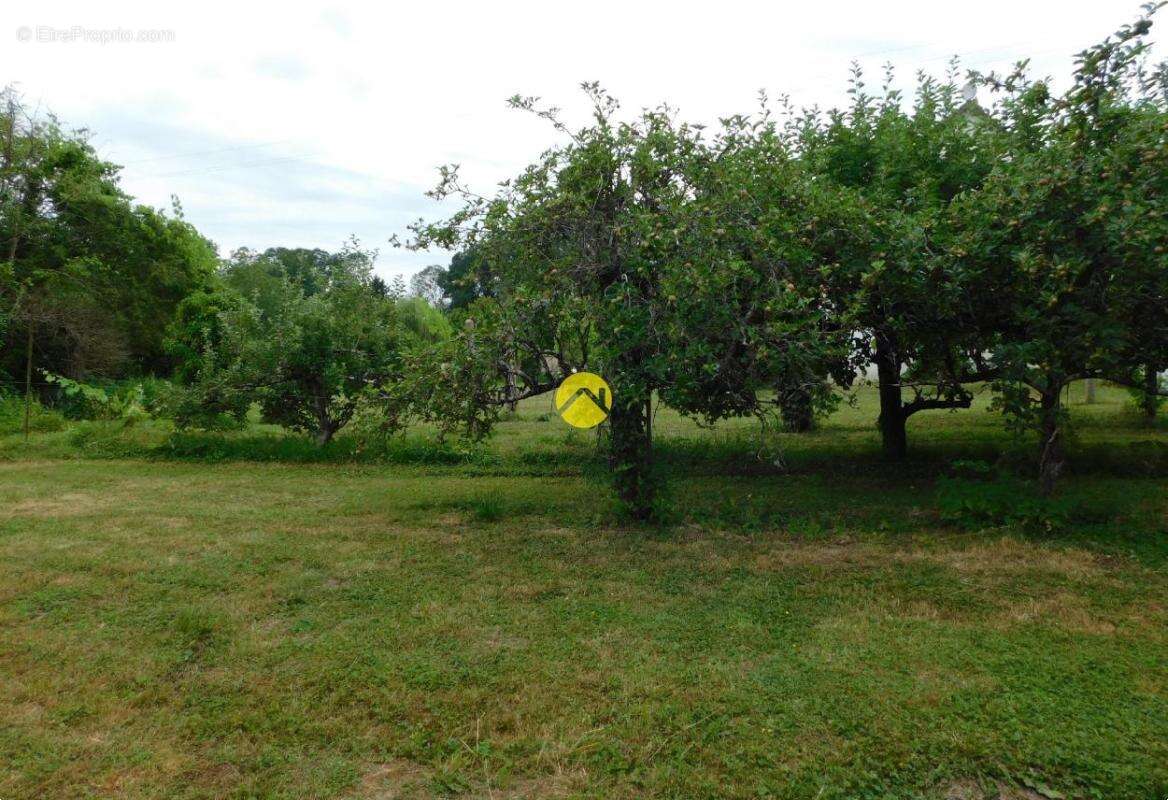 Maison campagne - photo 3