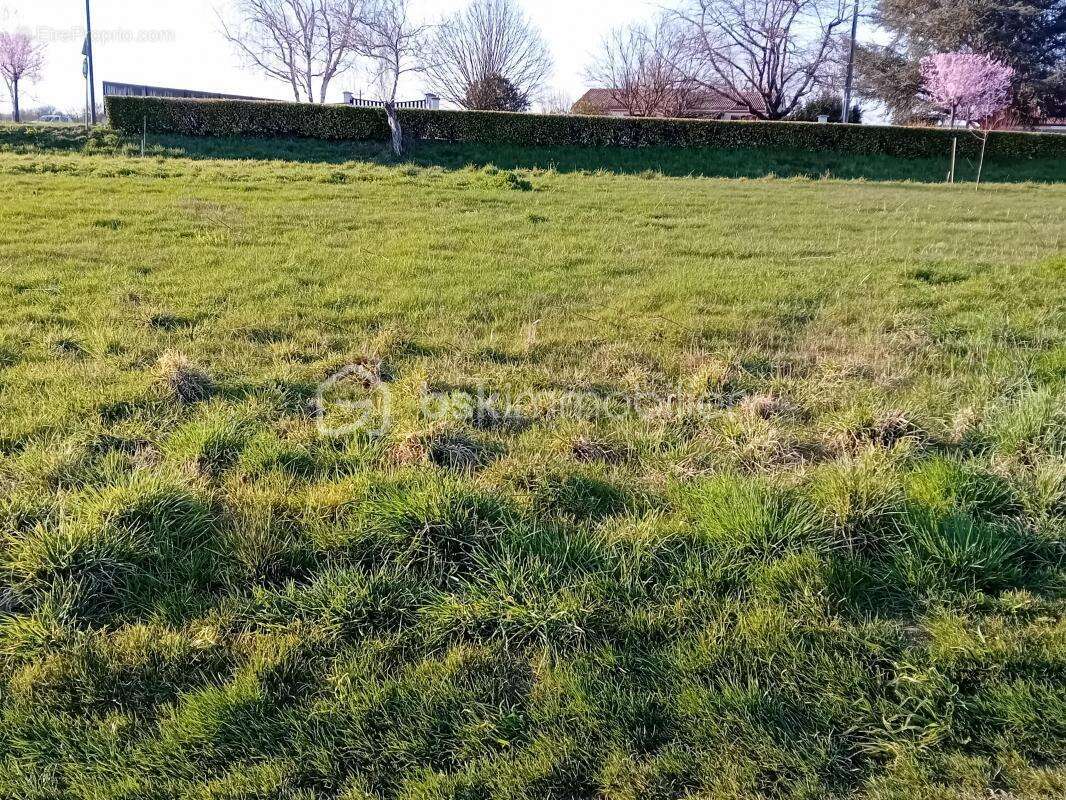 Terrain constructible  1530 m² belle vue - photo 2