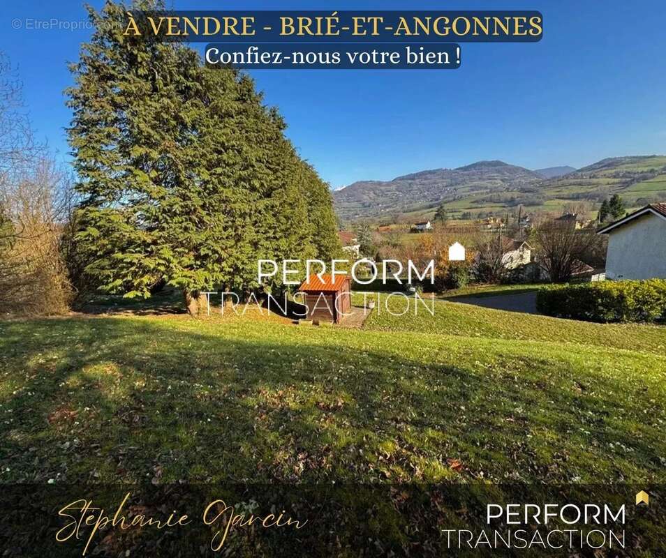 Terrain à BRIE-ET-ANGONNES