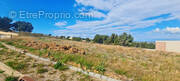 Terrain à NARBONNE