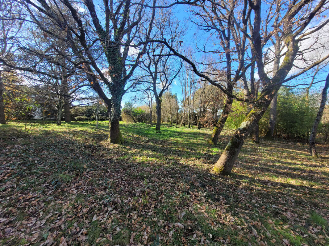 Maison à L'ISLE-JOURDAIN