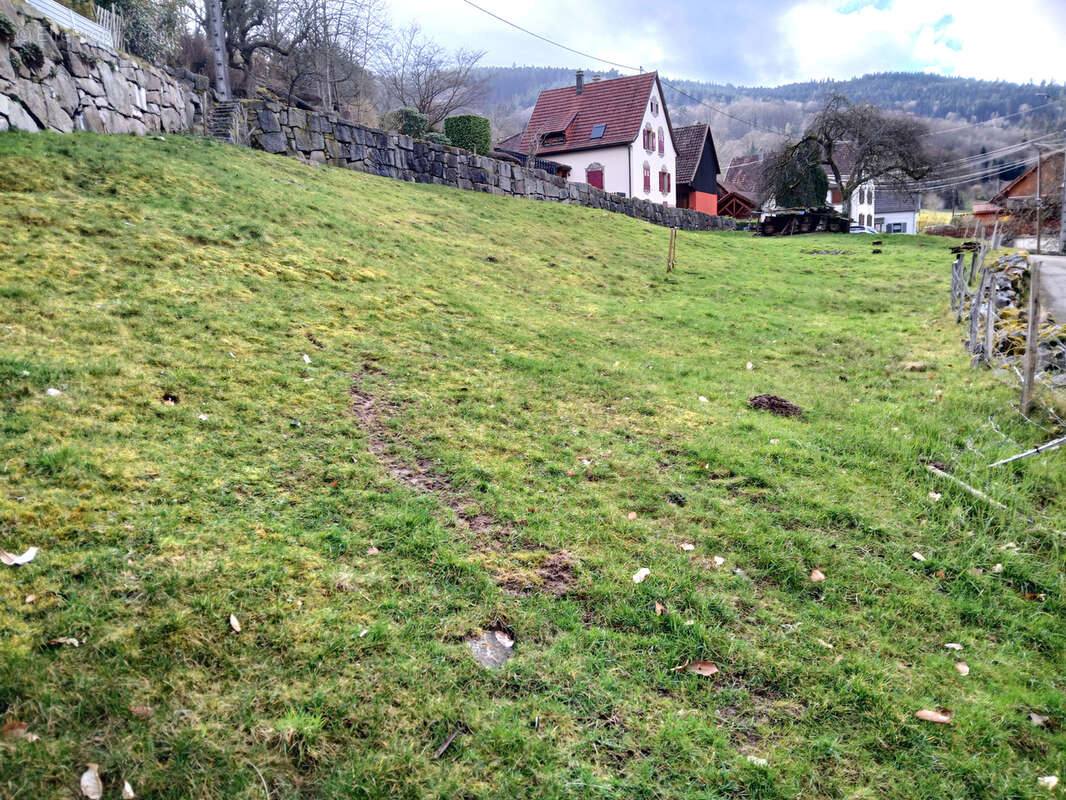 Terrain à STOSSWIHR