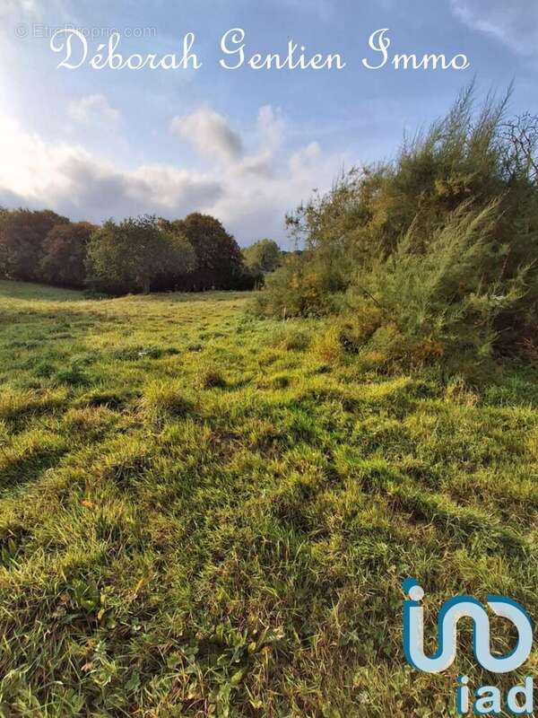 Photo 4 - Maison à HANVOILE