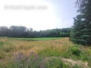 Terrain à LA CHAPELLE-DE-SURIEU