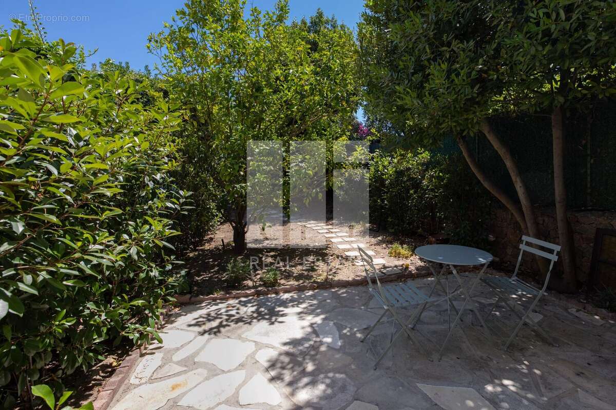 Cannes - domaine ferme a 10 mins des plages - ravissante maison provencale entierement renovee avec acces direct au parc de la c - photo 3