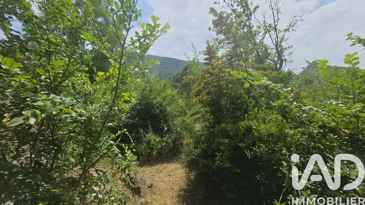 Photo 3 - Terrain à PLAN-D'AUPS-SAINTE-BAUME
