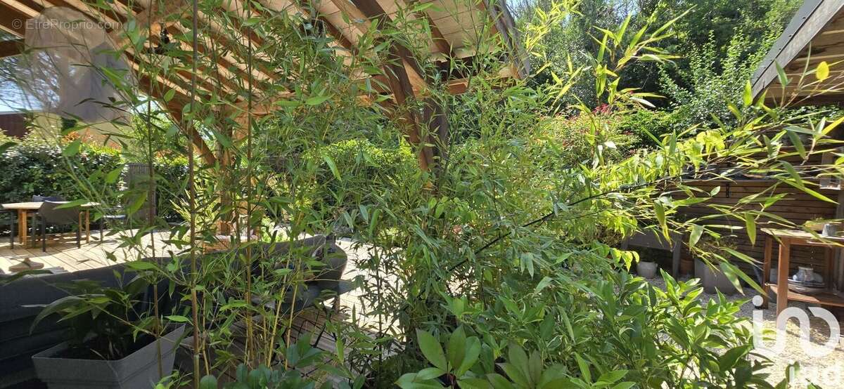 Photo 5 - Maison à SAINT-AMBROIX