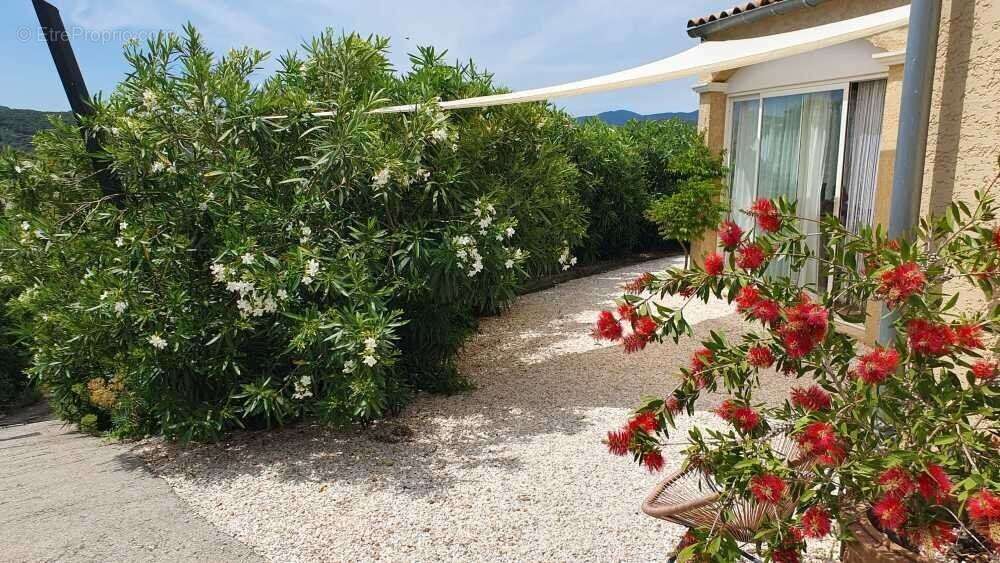 Photo 3 - Maison à ROQUEBRUN