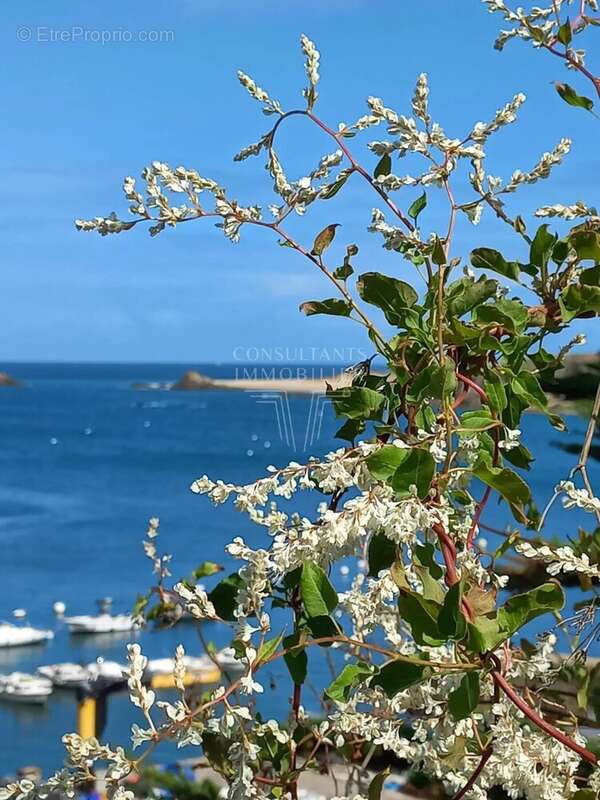 Investissement île du MORBIHAN - photo 2
