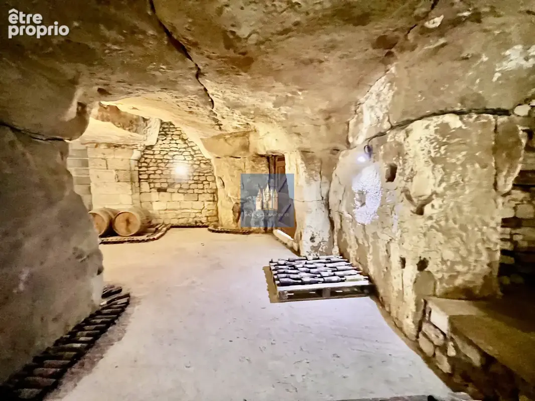 Pouançay (86) propriété de charme coeur village (5 ch) avec  grandes caves troglo - photo 33