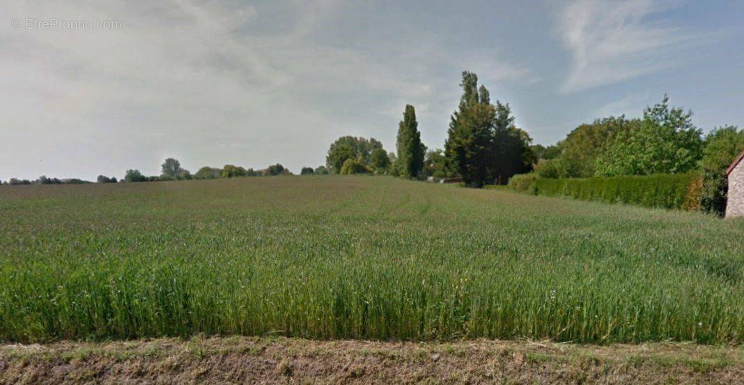 Terrain à MONTIGNY-EN-OSTREVENT