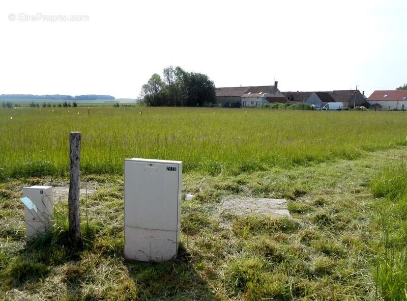 Terrain à LA SELLE-SUR-LE-BIED
