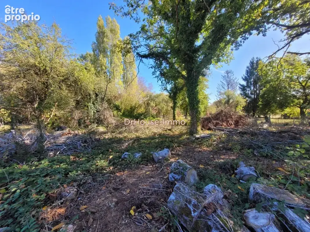 Terrain 1 190 m² à vendre à La Belliole (89150) - photo 2