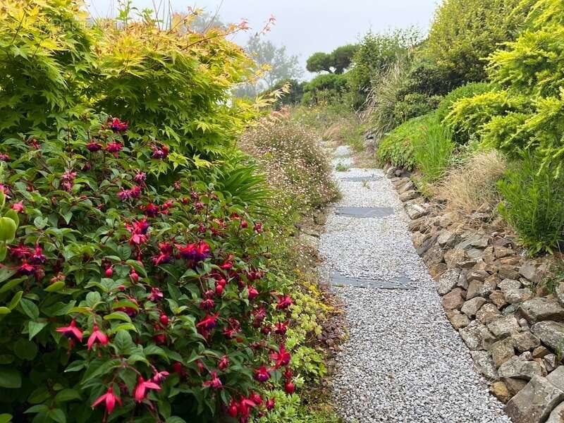 À seulement 5 km de Barneville-Carteret, charmante maison en pierre avec jardin arboré - photo 3