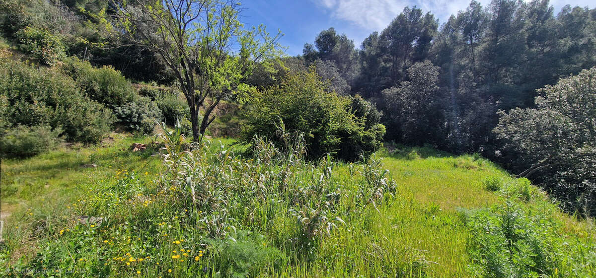 Maison à LA CADIERE-D'AZUR