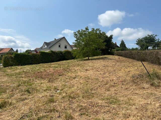 Terrain à BAVANS