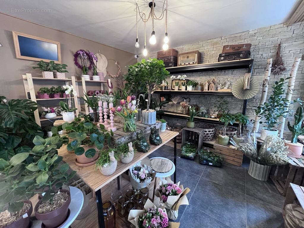 Commerce à LE PORTEL