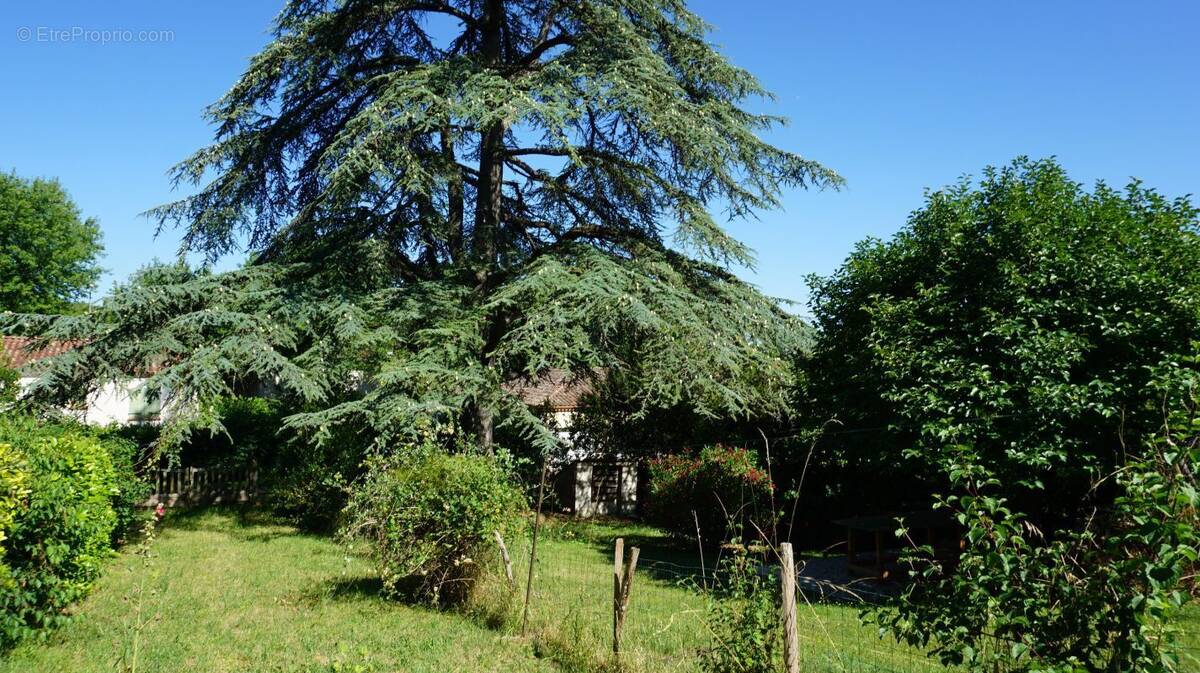 Maison à CASTELNAU-MONTRATIER