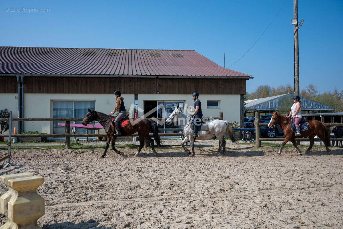 Commerce à MARLES-EN-BRIE