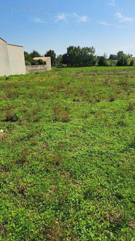 Terrain à THAIRE