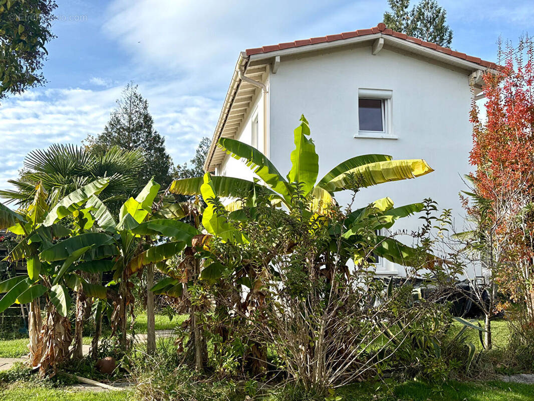 Maison à SAINT-MARTIN-DE-SEIGNANX