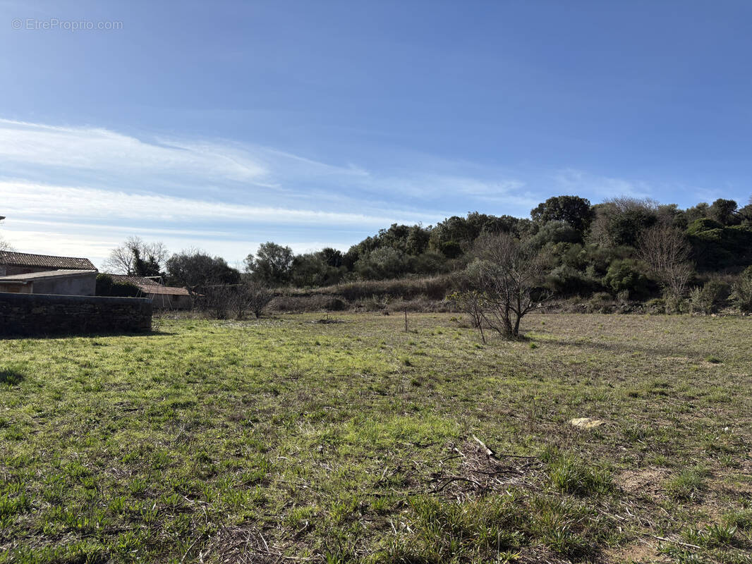 Terrain à FOUZILHON