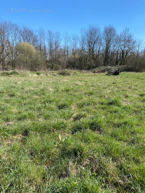 Terrain à SAINT-AIGULIN