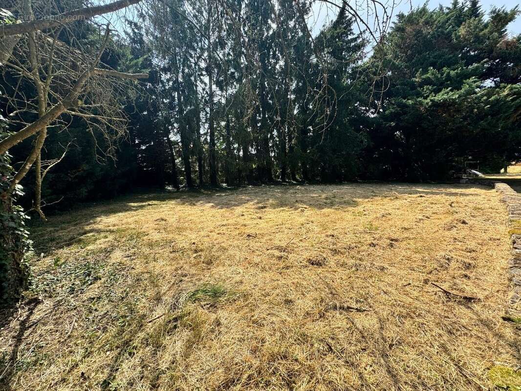 Terrain à SAINT-LAURE