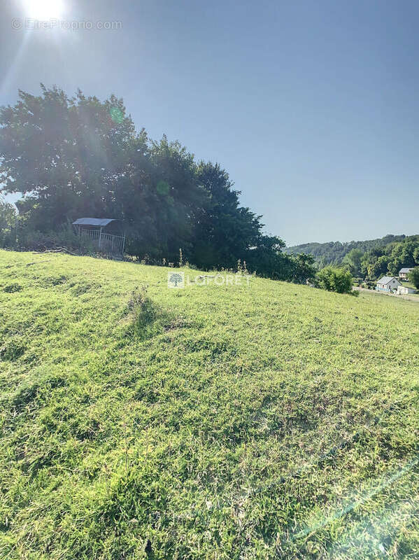 Terrain à BEC-DE-MORTAGNE