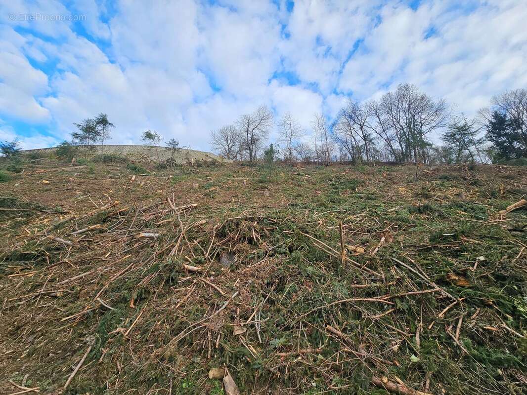 Photo 3 - Terrain à CHAUDES-AIGUES