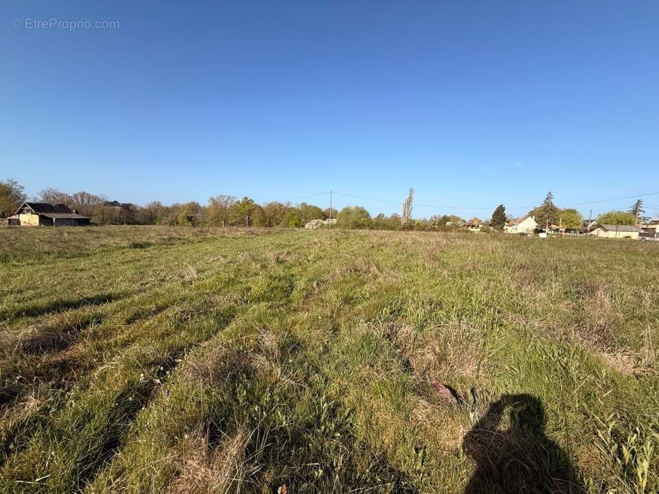 Terrain à LA FORCE