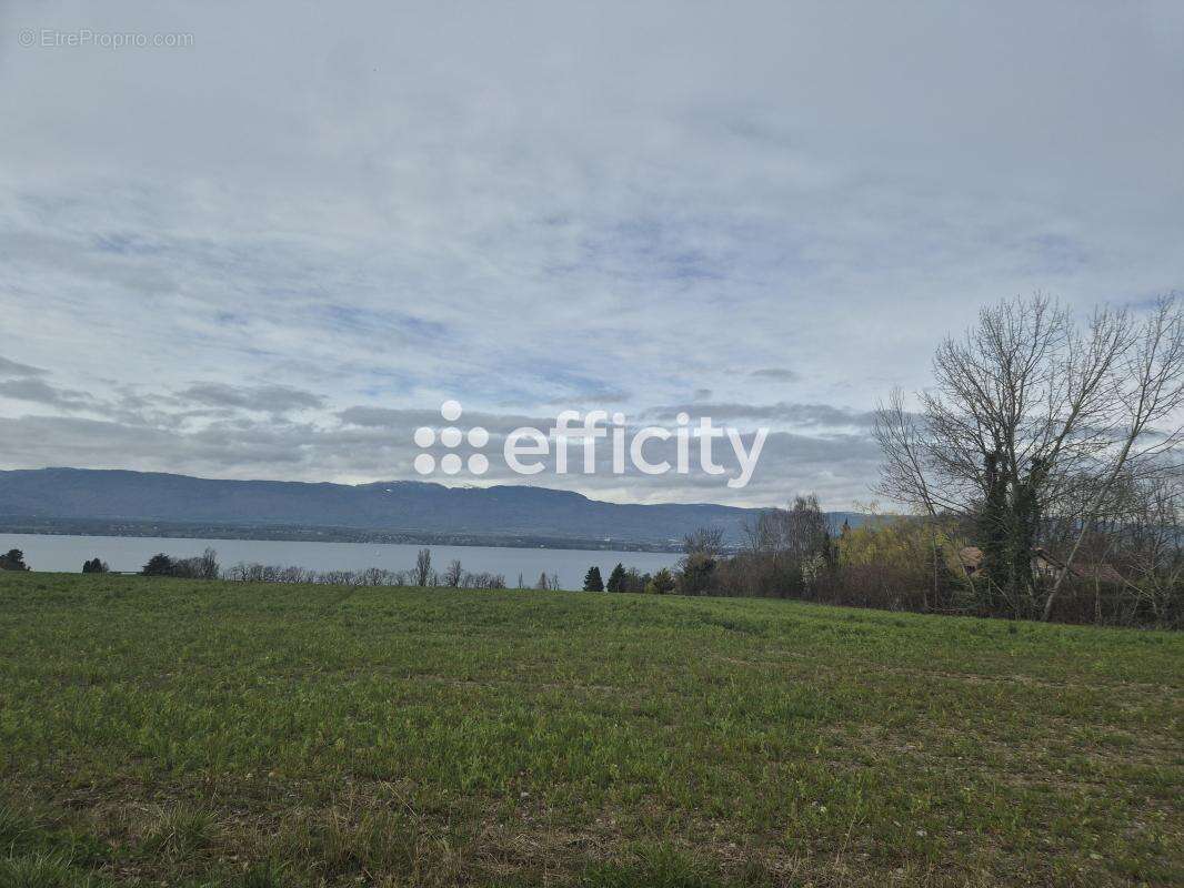 Maison à CHENS-SUR-LEMAN