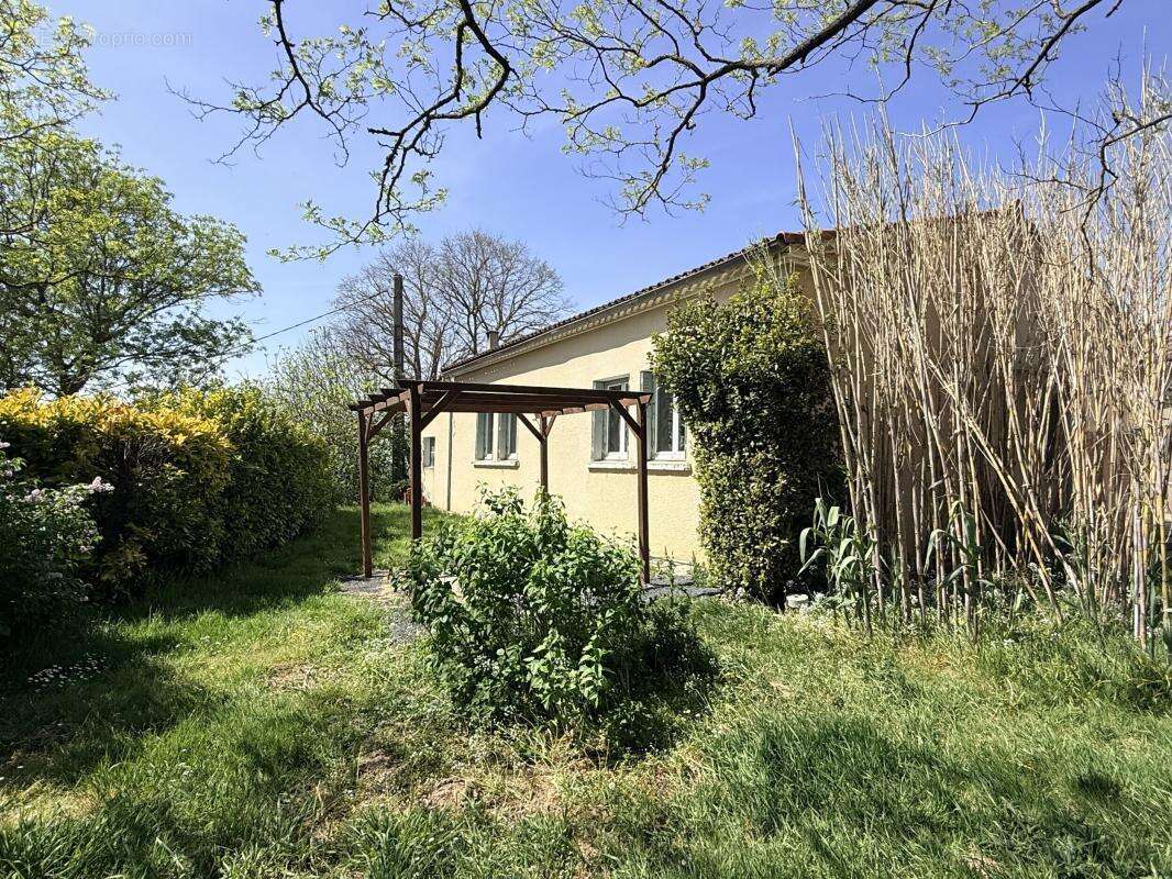Un cadre de vie rare + de 5000m2 de terrain - photo 2