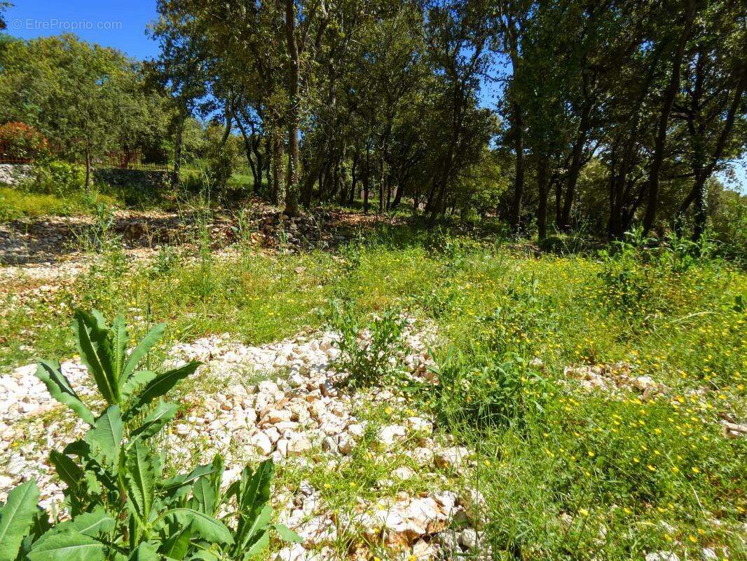 Terrain À Vendre vue panoramique 8 264m2 - photo 4