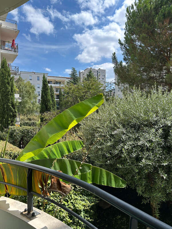 Appartement à TASSIN-LA-DEMI-LUNE