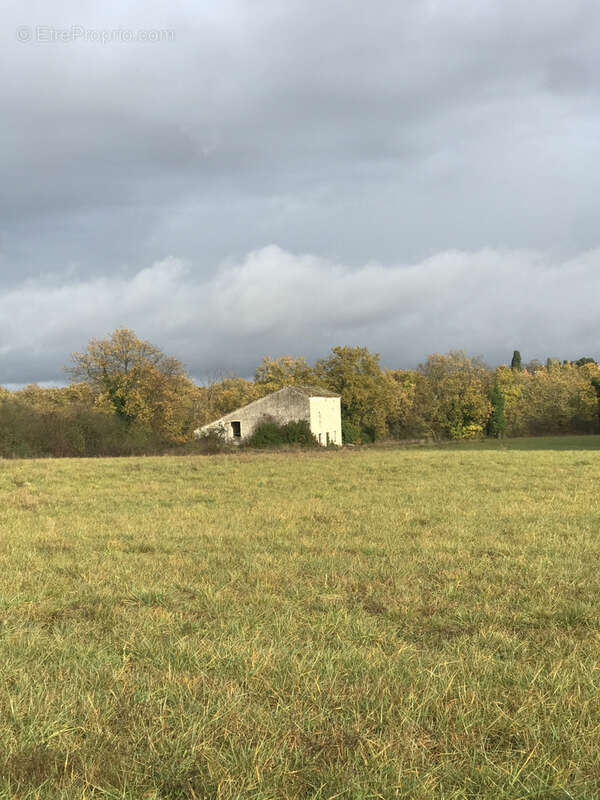 Maison à CESTAYROLS