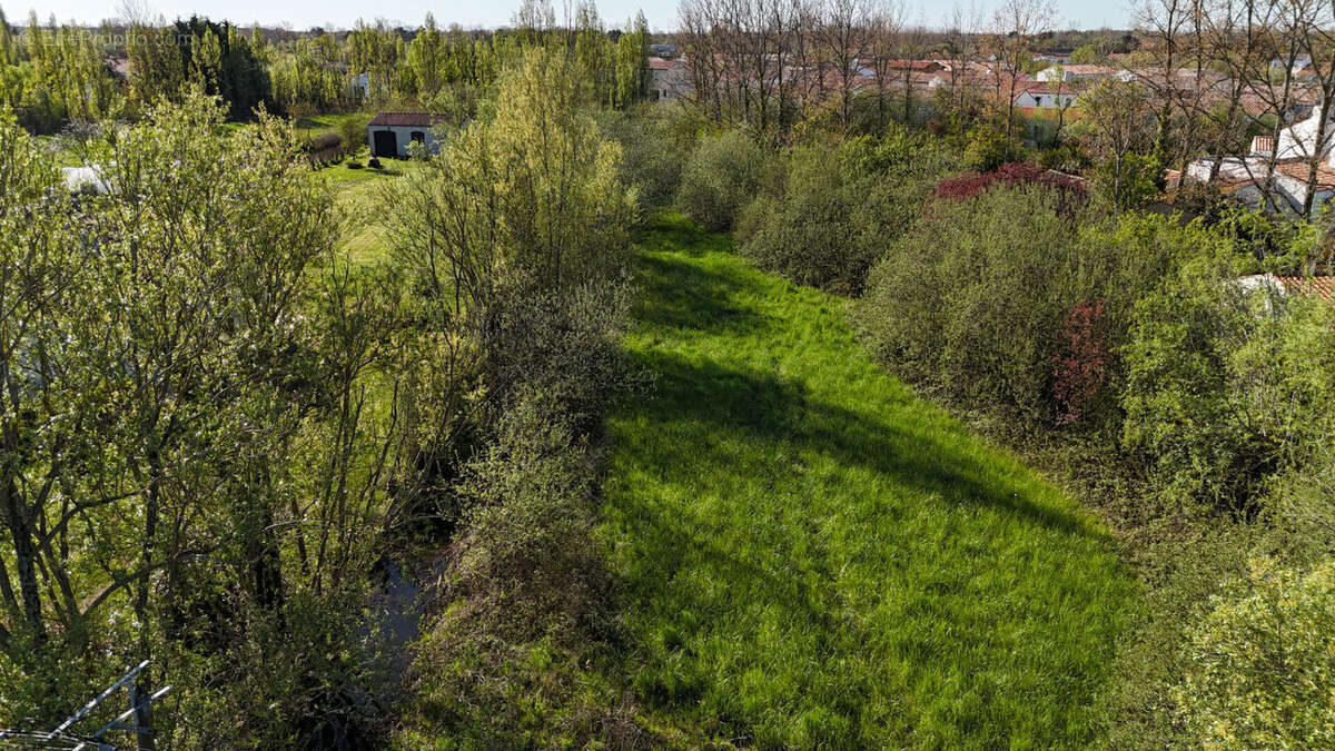 Terrain à LE PERRIER
