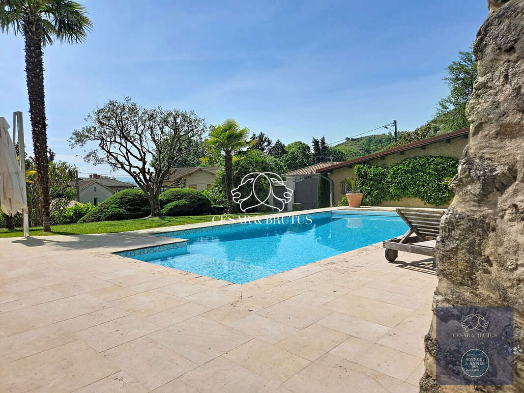 Plage piscine - Maison à CONDRIEU