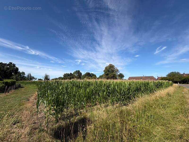 Terrain à vendre  SENS SUR SEILLE (71) - photo 3